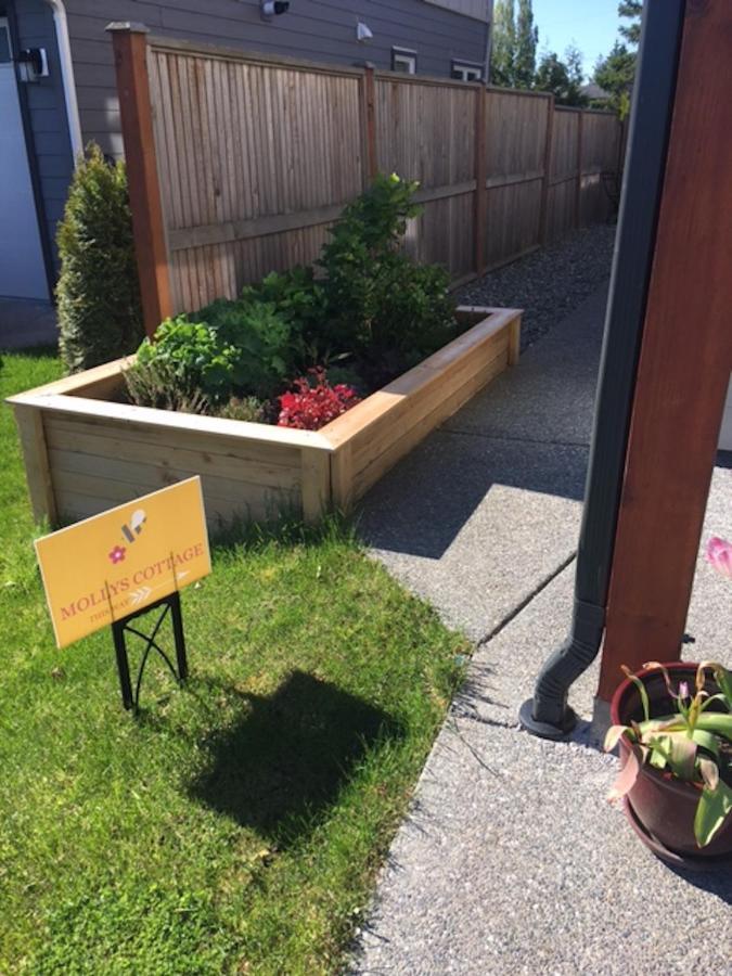 Mollys Cottage-The Suite On Vancouver Island Near Yyj Airport And The Wa And Bc Ferries North Saanich Εξωτερικό φωτογραφία